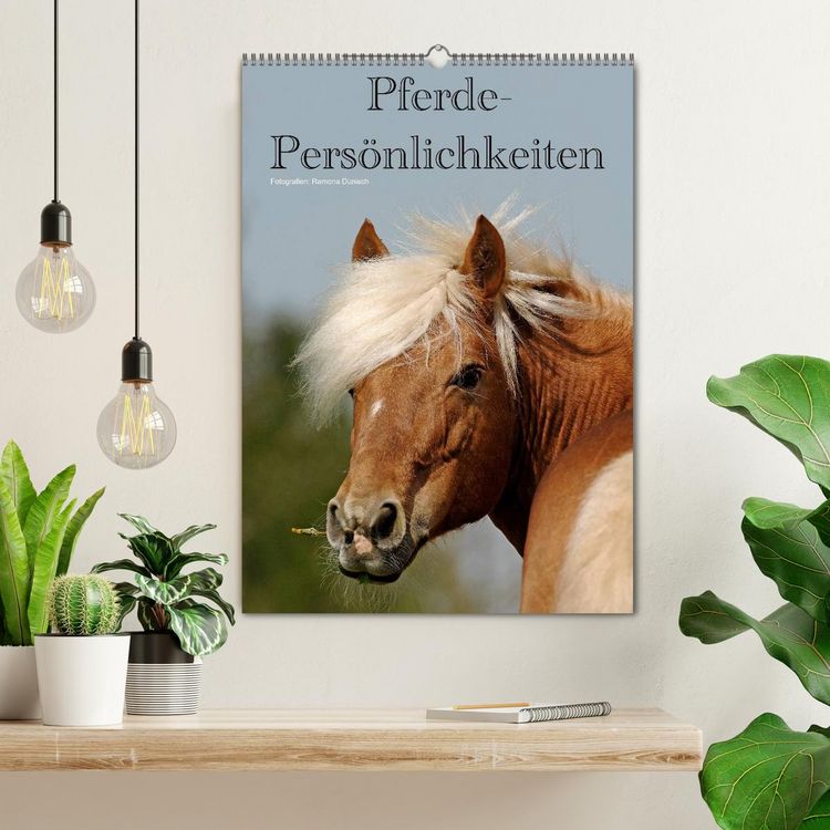 Produktbild: Pferde-Pers&ouml;nlichkeiten - ausdrucksstarke Gesichter verschiedener Pferderassen (Wandkalender 2026 DIN A2 hoch), CALVENDO Monatskalender