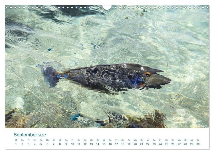 Produktbild: S&uuml;dsee-Insel Huahine - Paradies am Ende der Welt (Wandkalender 2027 DIN A3 quer), CALVENDO Monatskalender