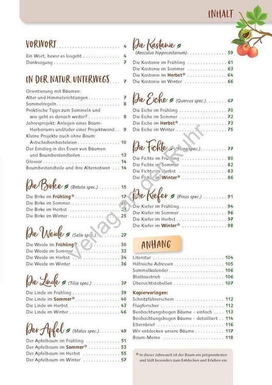 Produktbild: Paket: Heimische B&auml;ume