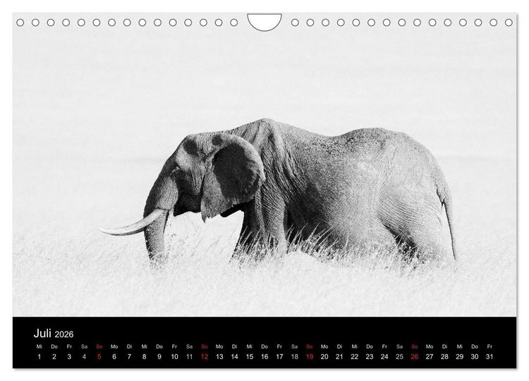 Produktbild: Elefanten Schwarz - Weiss (Wandkalender 2026 DIN A4 quer), CALVENDO Monatskalender