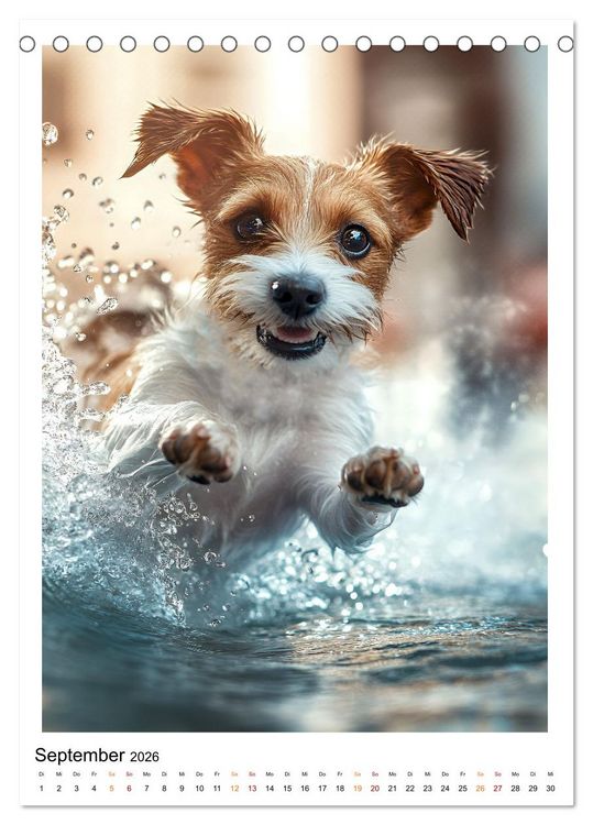 Produktbild: Hunde Lieblinge (Tischkalender 2026 DIN A5 hoch), CALVENDO Monatskalender
