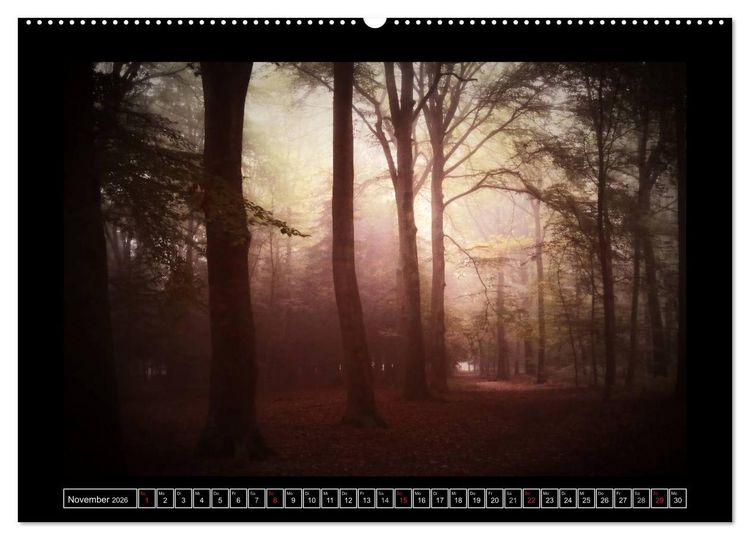 Produktbild: Der Reichswald bei Kleve (hochwertiger Premium Wandkalender 2026 DIN A2 quer), Kunstdruck in Hochglanz