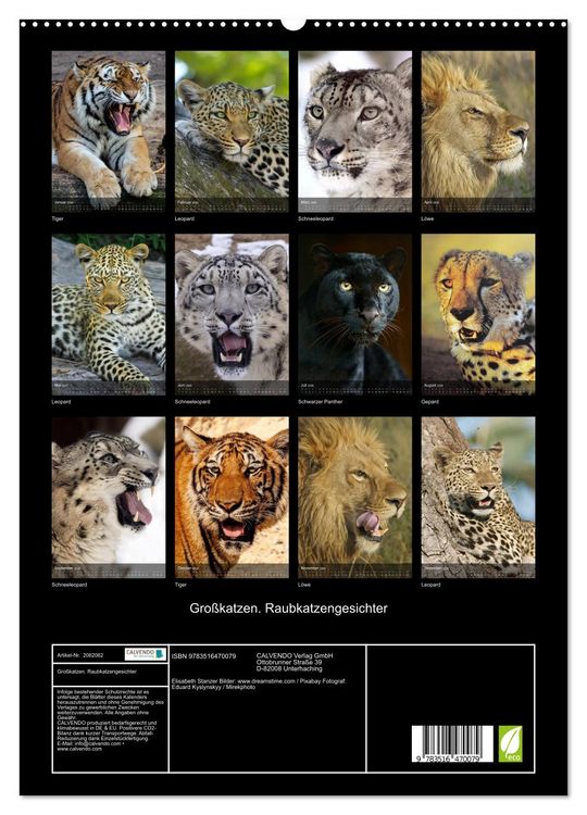 Produktbild: Gro&szlig;katzen. Raubkatzengesichter (hochwertiger Premium Wandkalender 2026 DIN A2 hoch), Kunstdruck in Hochglanz