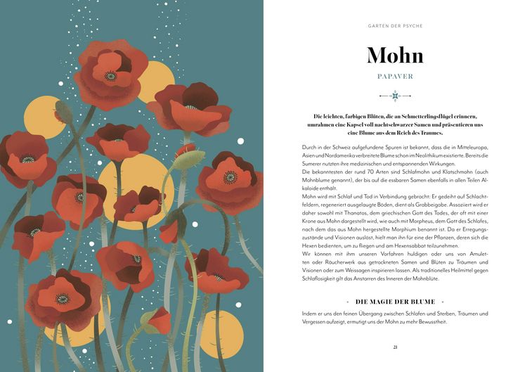 Produktbild: Blumen-Zauber
