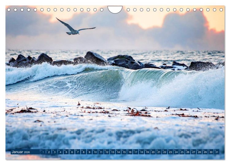 Produktbild: Helgoland - Das Leben auf der D&uuml;ne Helgolands (Wandkalender 2026 DIN A4 quer), CALVENDO Monatskalender