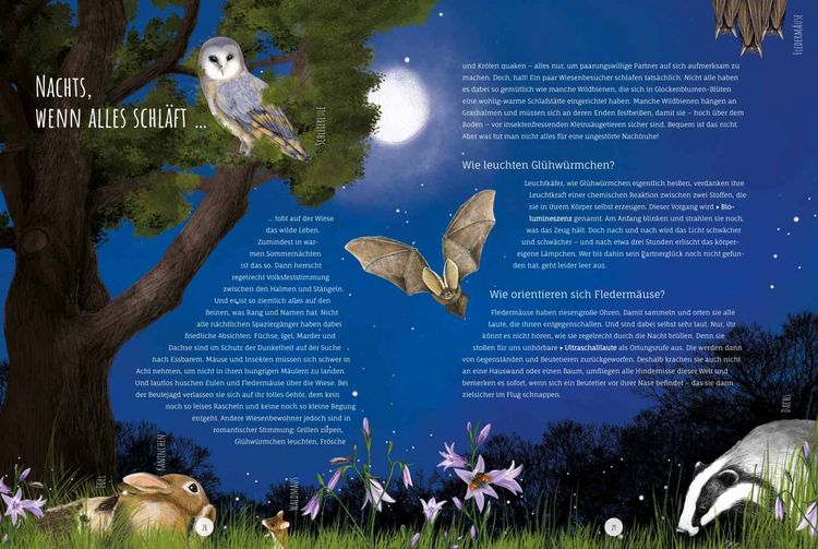 Produktbild: Die Wildwiese