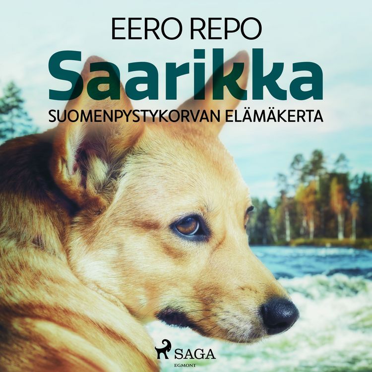 Produktbild: Saarikka