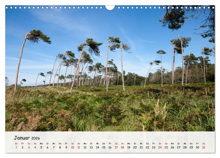 Produktbild: Fischland-Dar&szlig;-Zingst - Zwischen Bodden und Ostsee (Wandkalender 2026 DIN A3 quer), CALVENDO Monatskalender