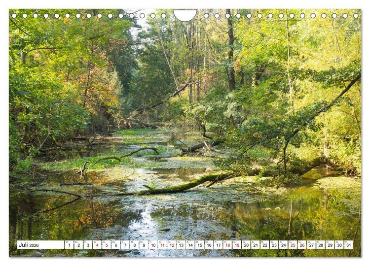 Produktbild: F&uuml;rstenfeldbruck - Streifzug durch Natur und Stadt (Wandkalender 2026 DIN A4 quer), CALVENDO Monatskalender