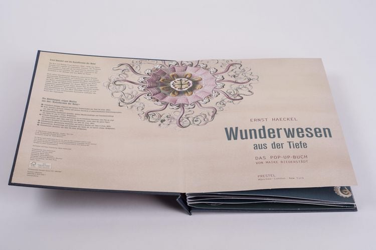 Produktbild: Wunderwesen aus der Tiefe. Ernst Haeckel