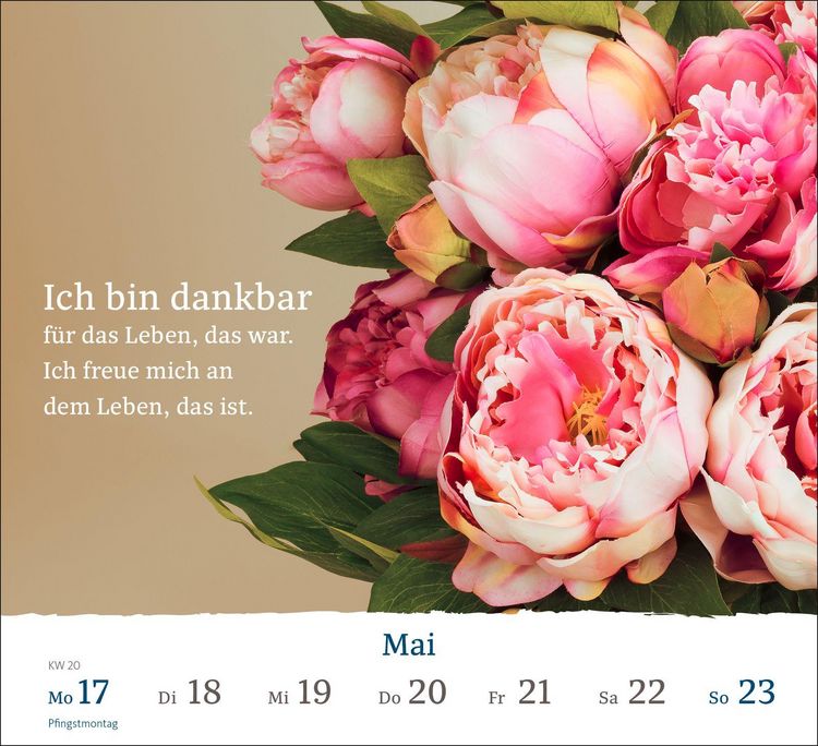 Produktbild: Wochenkalender 2027: Sch&ouml;ne Aussichten