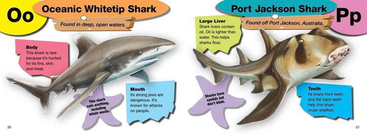 Produktbild: A-Z of Sharks