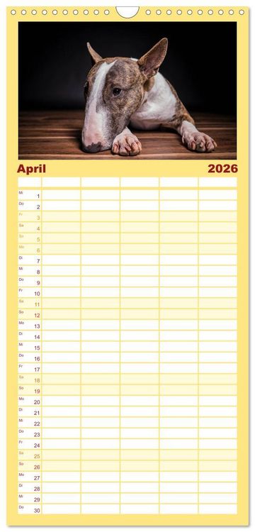 Produktbild: Familienplaner 2026 - Bullterrier mit 5 Spalten (Wandkalender, 21 x 45 cm) CALVENDO