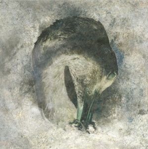 Produktbild: Ashes
