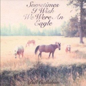 Produktbild: Sometimes I Wish We Were An Eagle