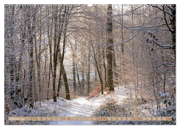 Produktbild: Der Wald - Ort der Ruhe und Besinnung (Wandkalender 2026 DIN A2 quer), CALVENDO Monatskalender