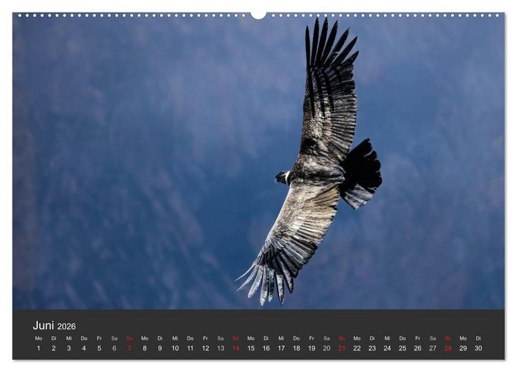Produktbild: Peru 2026 Im Land des Kondors (Wandkalender 2026 DIN A2 quer), CALVENDO Monatskalender
