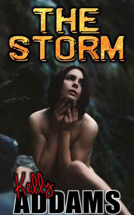 Produktbild: The Storm