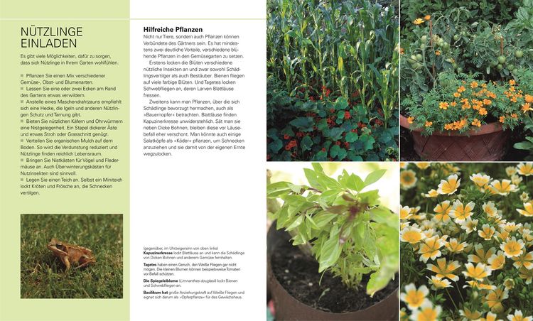 Produktbild: Gem&uuml;se f&uuml;r jeden Garten