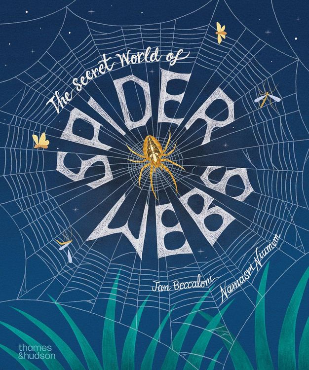 Produktbild: The Secret World of Spiderwebs