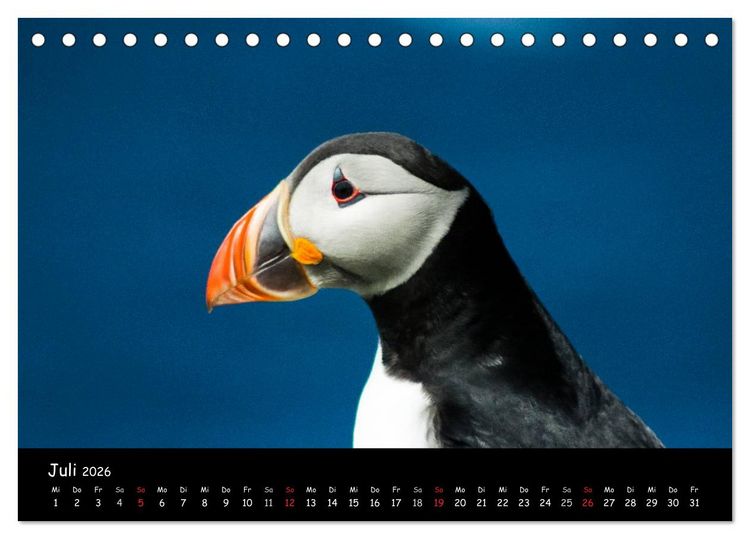 Produktbild: Die Papageientaucher von Mykines (Tischkalender 2026 DIN A5 quer), CALVENDO Monatskalender