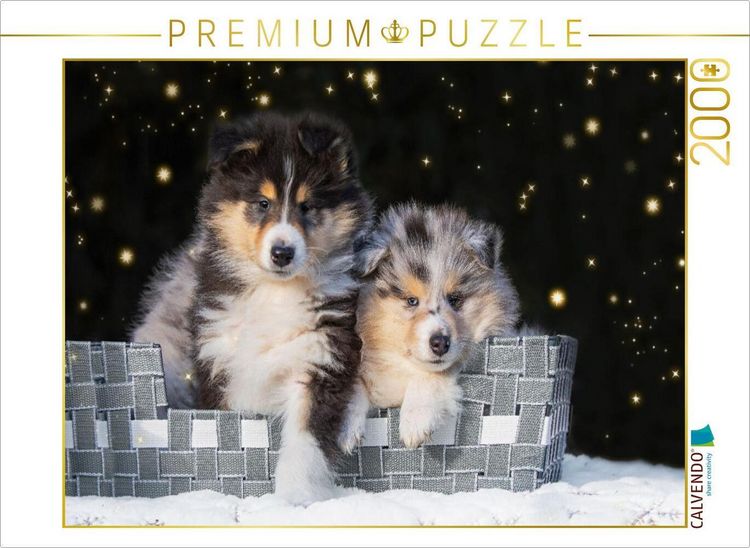 Produktbild: CALVENDO Puzzle Colliewelpen | 2000 Teile Lege-Gr&ouml;&szlig;e 90x67cm Foto-Puzzle f&uuml;r gl&uuml;ckliche Stunden