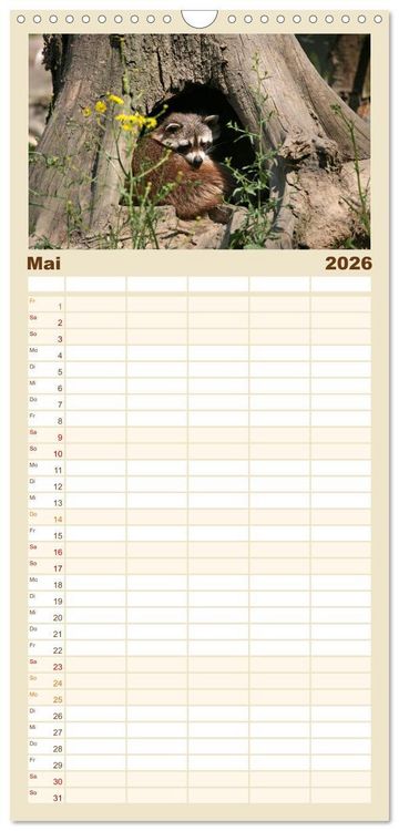 Produktbild: Familienplaner 2026 - Waschb&auml;ren mit 5 Spalten (Wandkalender, 21 x 45 cm) CALVENDO