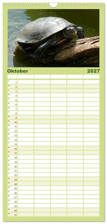 Produktbild: Familienplaner 2027 - Das Leben der Schildkr&ouml;ten mit 5 Spalten (Wandkalender, 21 x 45 cm) CALVENDO