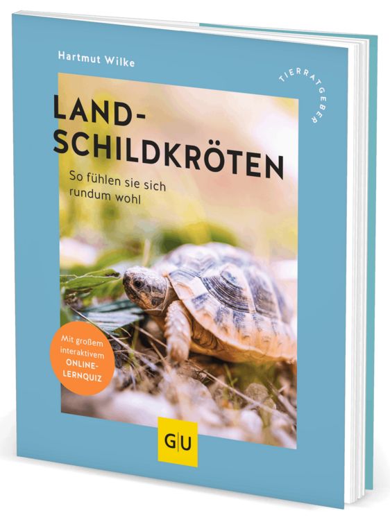 Produktbild: Landschildkr&ouml;ten