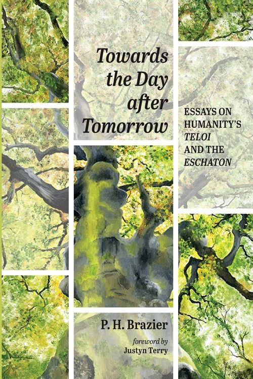 Produktbild: Towards the Day after Tomorrow