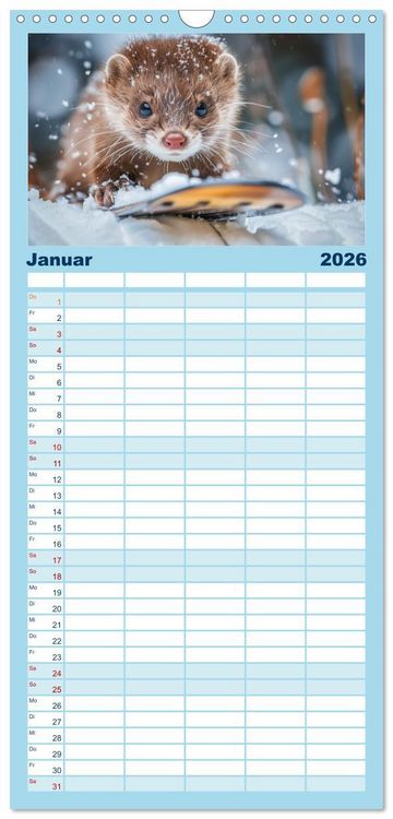 Produktbild: Familienplaner 2026 - Kleine freche Nerze mit 5 Spalten (Wandkalender, 21 x 45 cm) CALVENDO