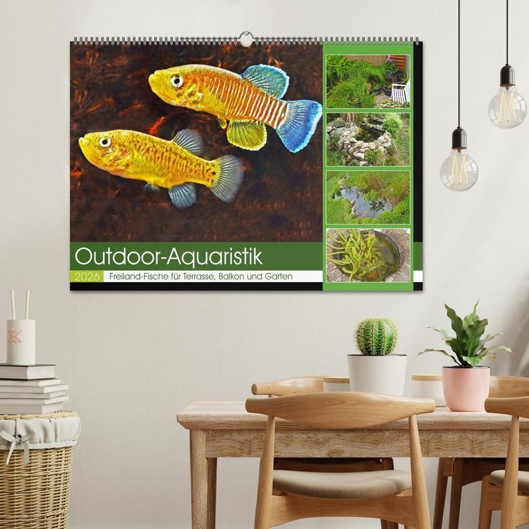Produktbild: Outdoor-Aquaristik (Wandkalender 2026 DIN A2 quer), CALVENDO Monatskalender