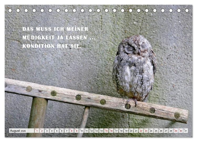 Produktbild: M&uuml;de, faul und arbeitsscheu (Tischkalender 2026 DIN A5 quer), CALVENDO Monatskalender