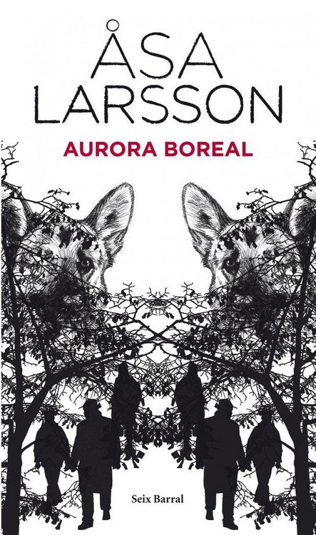 Produktbild: Aurora boreal