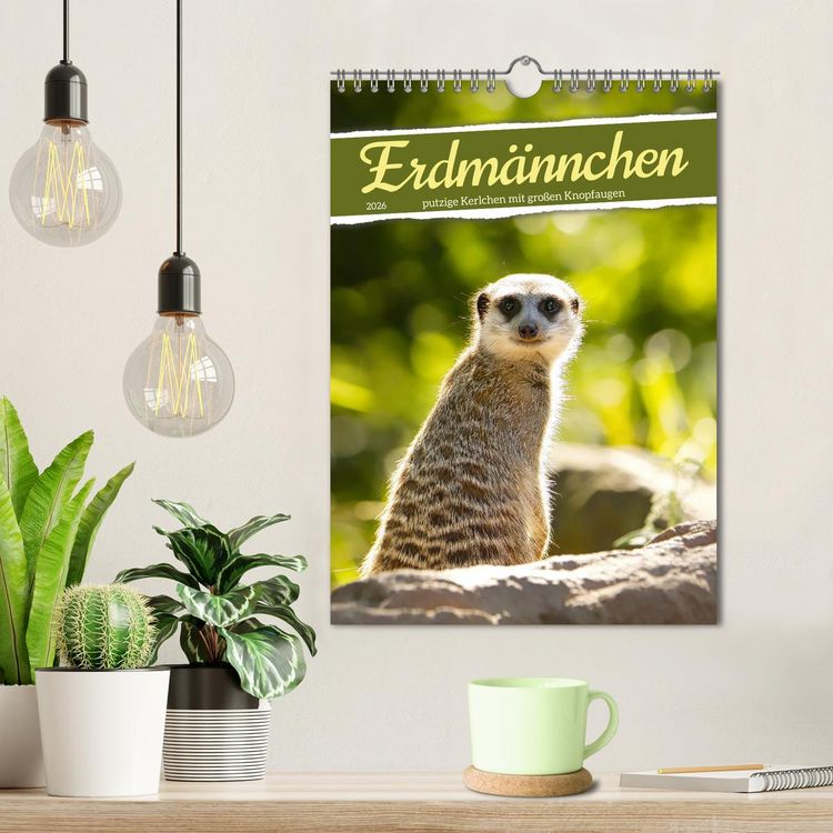 Produktbild: Erdm&auml;nnchen, putzige Kerlchen mit gro&szlig;en Knopfaugen (Wandkalender 2026 DIN A4 hoch), CALVENDO Monatskalender