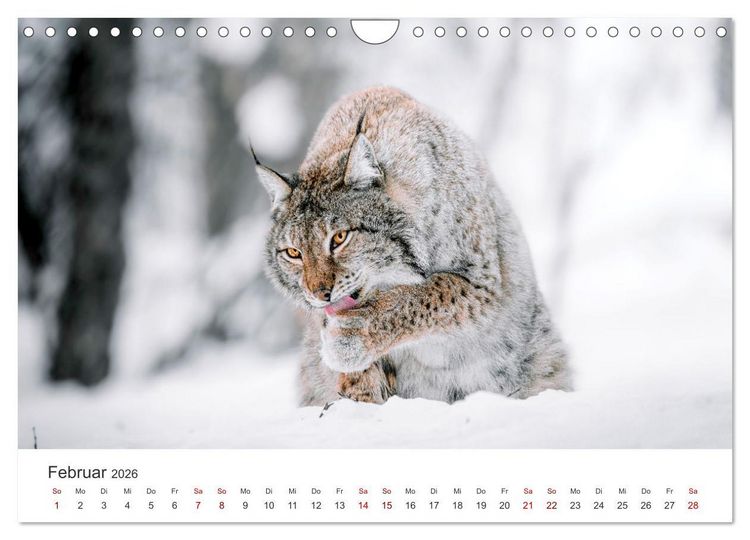 Produktbild: British Columbia - Faszination Kanada (Wandkalender 2026 DIN A4 quer), CALVENDO Monatskalender