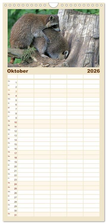 Produktbild: Familienplaner 2026 - Waschb&auml;ren mit 5 Spalten (Wandkalender, 21 x 45 cm) CALVENDO