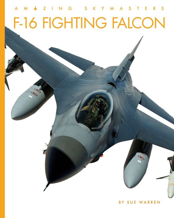 Produktbild: F-16 Fighting Falcon