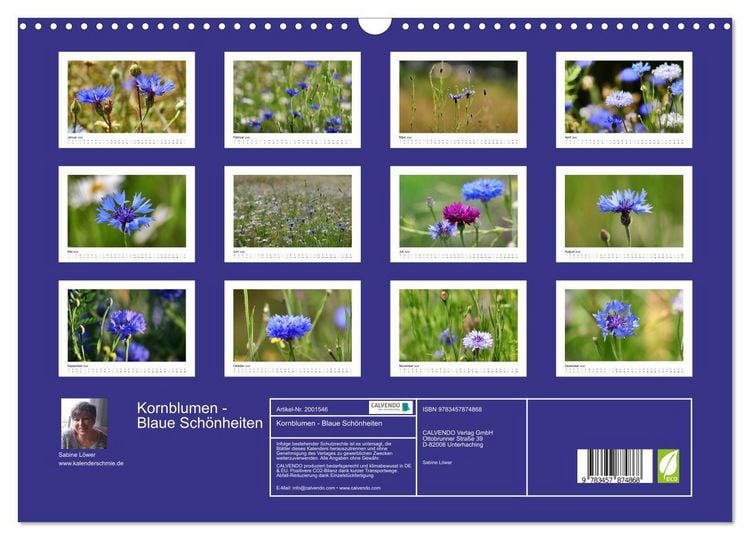 Produktbild: Kornblumen - Blaue Sch&ouml;nheiten (Wandkalender 2026 DIN A3 quer), CALVENDO Monatskalender