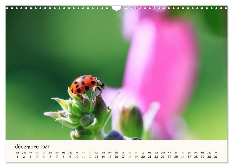 Produktbild: Nos amis les insectes (Calendrier mural 2027 DIN A3 vertical), CALVENDO calendrier mensuel