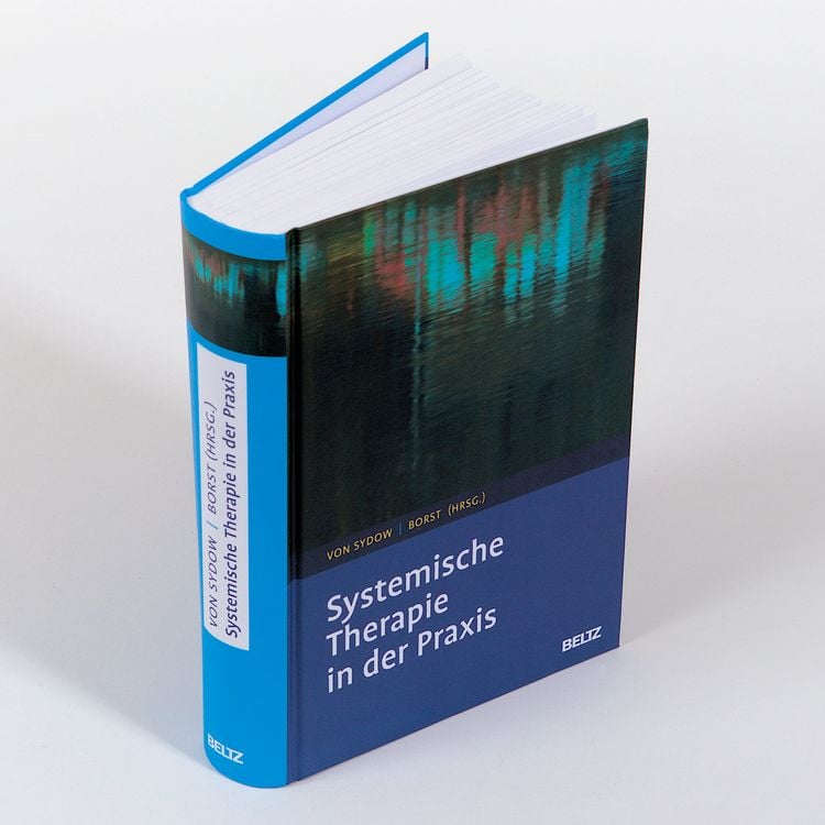 Produktbild: Systemische Therapie in der Praxis