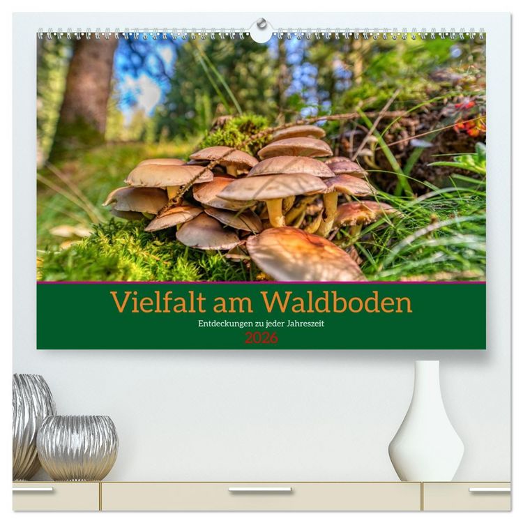 Produktbild: Vielfalt am Waldboden (hochwertiger Premium Wandkalender 2026 DIN A2 quer), Kunstdruck in Hochglanz