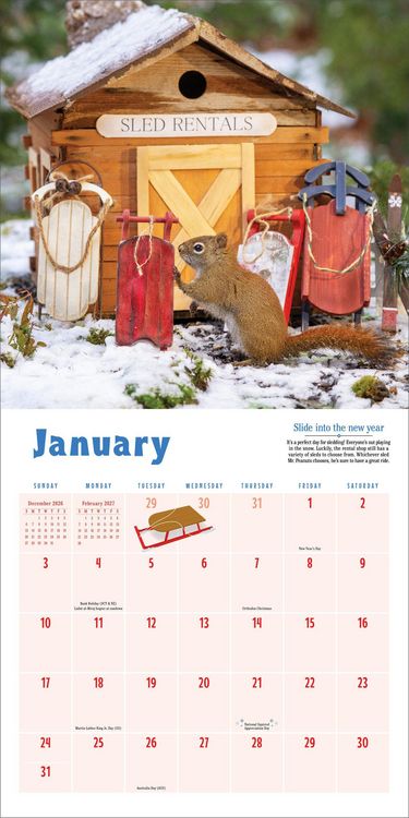 Produktbild: Secret Life of Squirrels Wall Calendar 2027
