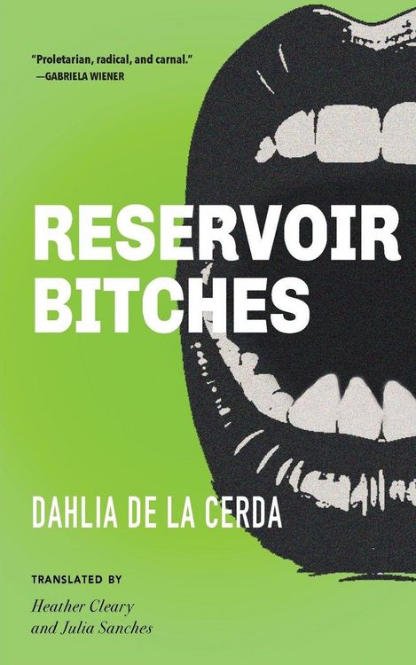 Produktbild: Reservoir Bitches