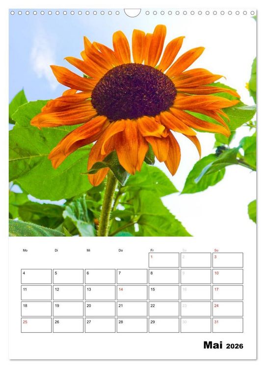 Produktbild: Strahlende Sonnenblumen (Wandkalender 2026 DIN A3 hoch), CALVENDO Monatskalender