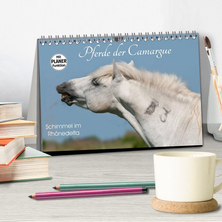 Produktbild: Pferde der Camargue &ndash; Schimmel im Rh&ocirc;nedelta (Tischkalender 2027 DIN A5 quer), CALVENDO Monatskalender