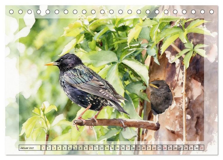 Produktbild: Zauberhaftes Nestgefl&uuml;ster (Tischkalender 2027 DIN A5 quer), CALVENDO Monatskalender