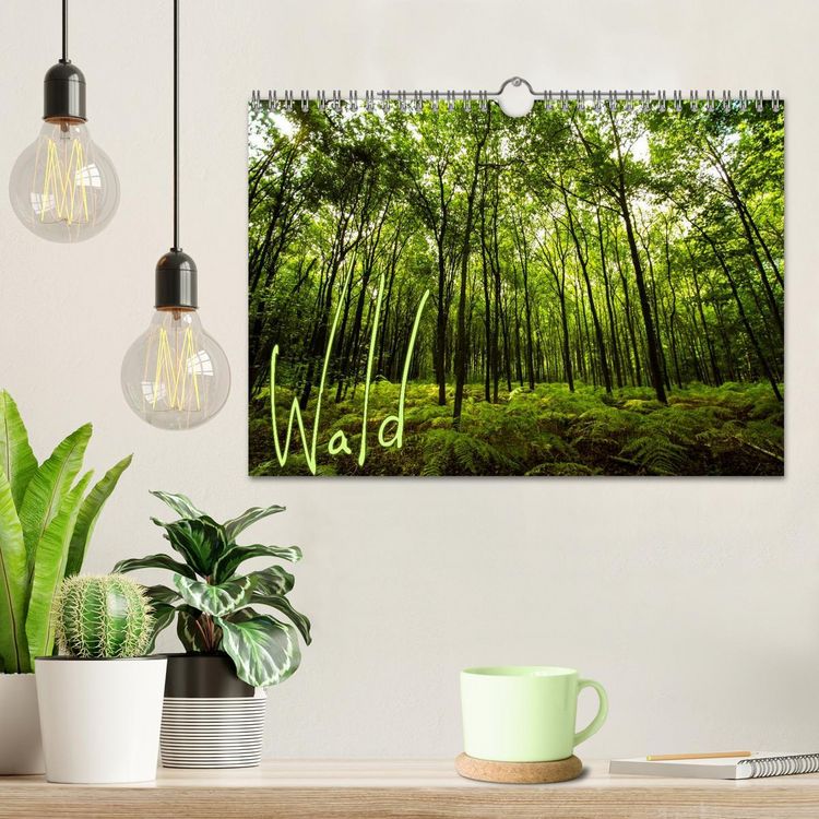 Produktbild: Wald (Wandkalender 2026 DIN A4 quer), CALVENDO Monatskalender
