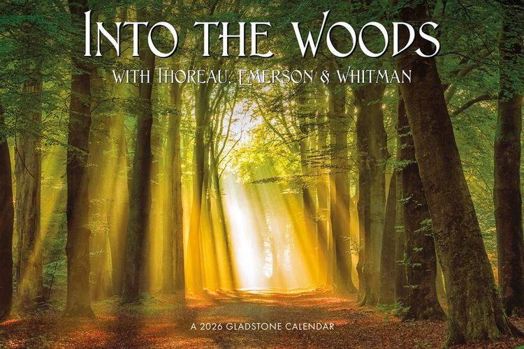 Produktbild: Into the Woods