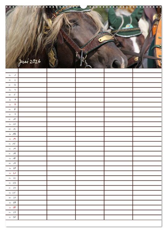 Produktbild: Der Kaltblut-Familienplaner (Wandkalender 2026 DIN A2 hoch), CALVENDO Monatskalender